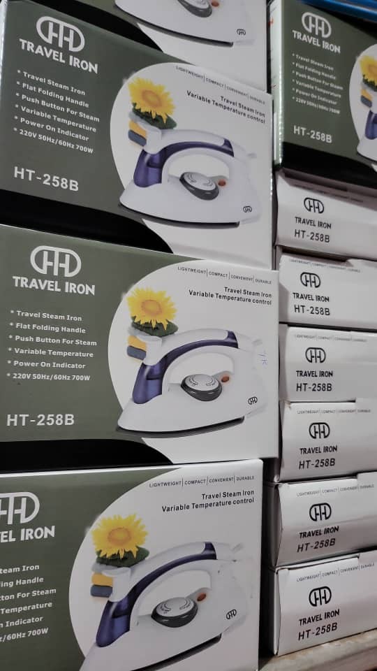 Travel steam iron